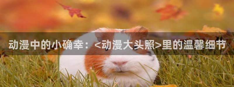 age动漫免费在线观看：动漫中的小确幸：<动漫大头照>里的温馨细节