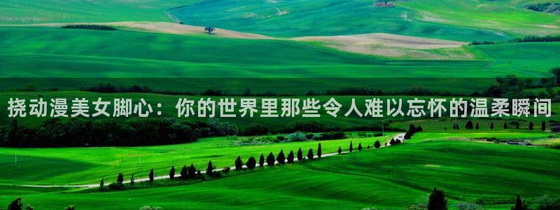 age动漫app官网版：挠动漫美女脚心：你的世界里那些令人难以忘怀的温柔瞬间