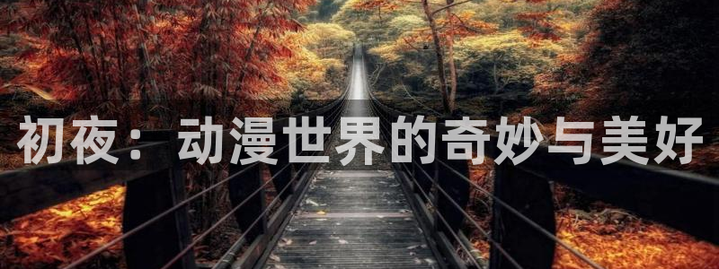 age动漫下载网：初夜：动漫世界的奇妙与美好